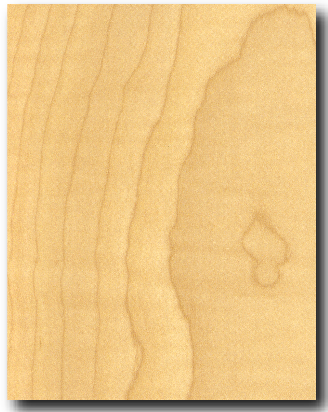 Natural Maple